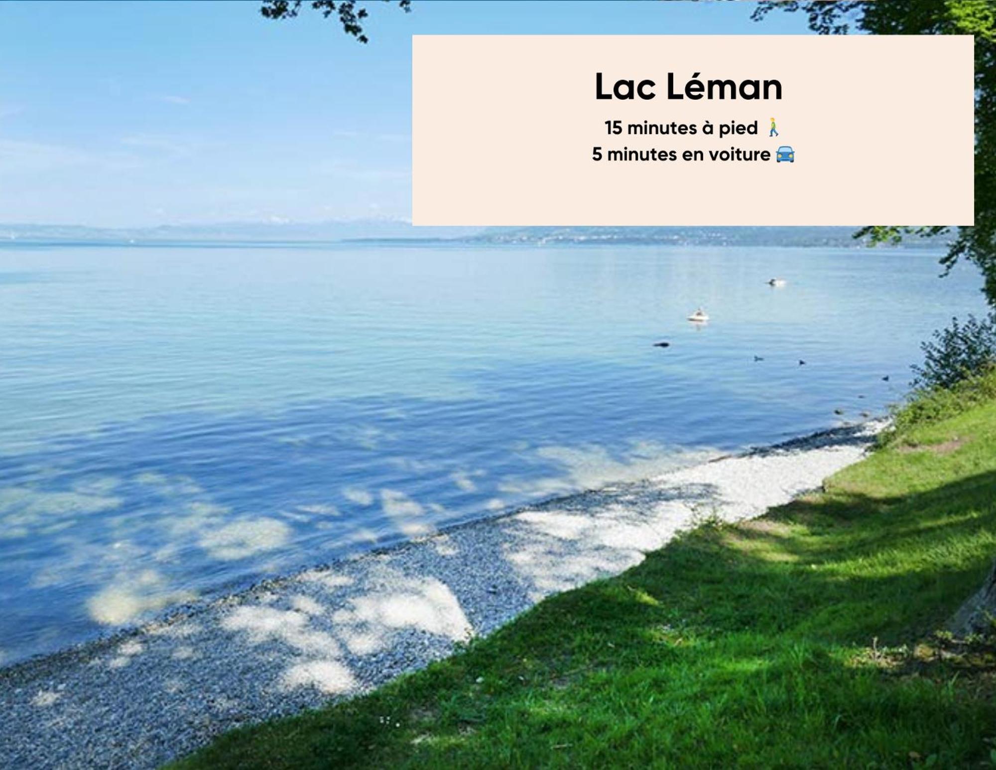 Cosy Et Moderne - Dent D'Oche Apartment Thonon-les-Bains Bagian luar foto
